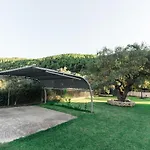 Family * 沃尔沃罗